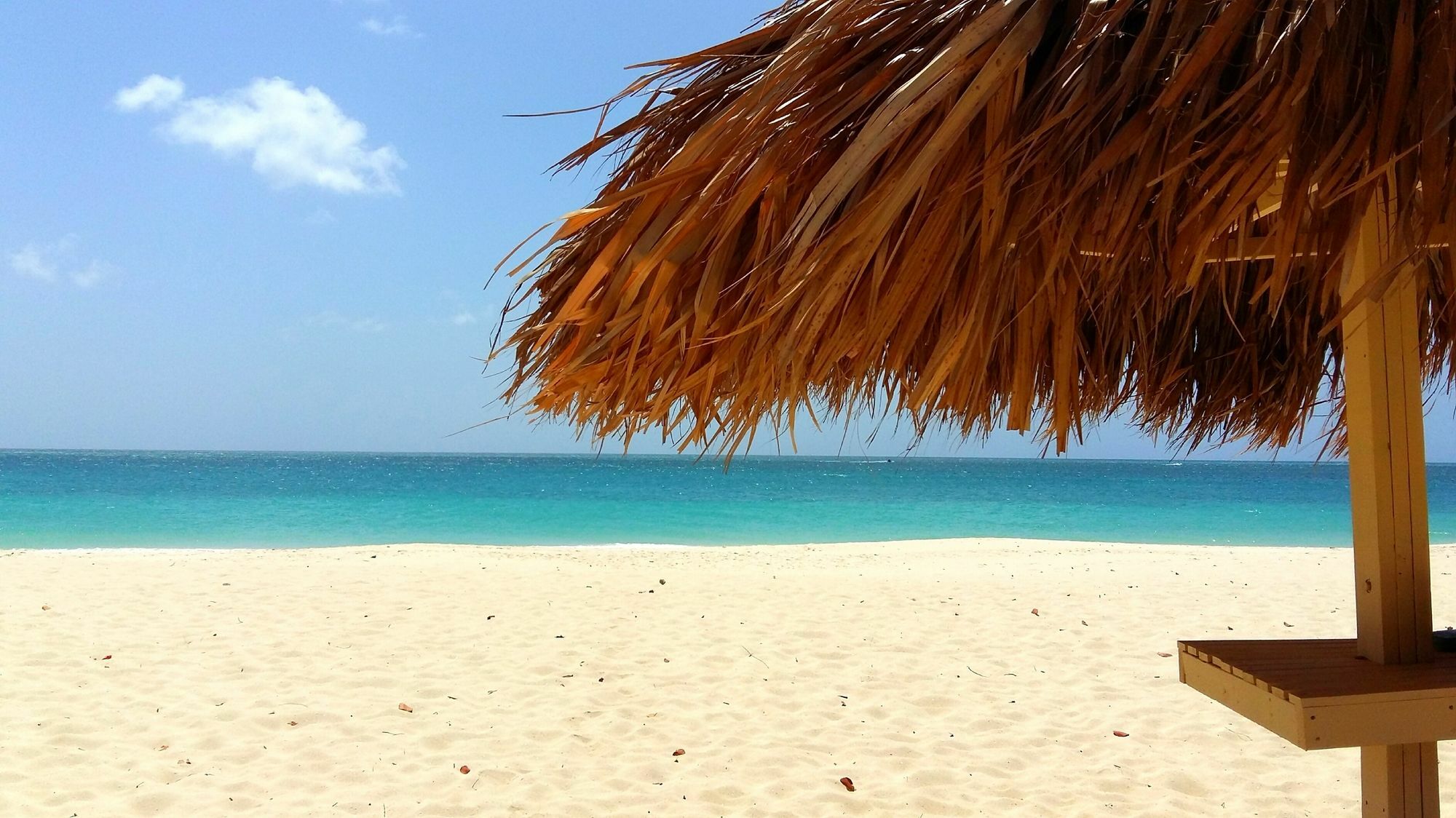 Dorado Eagle Beach Hotel Oranjestad Bagian luar foto